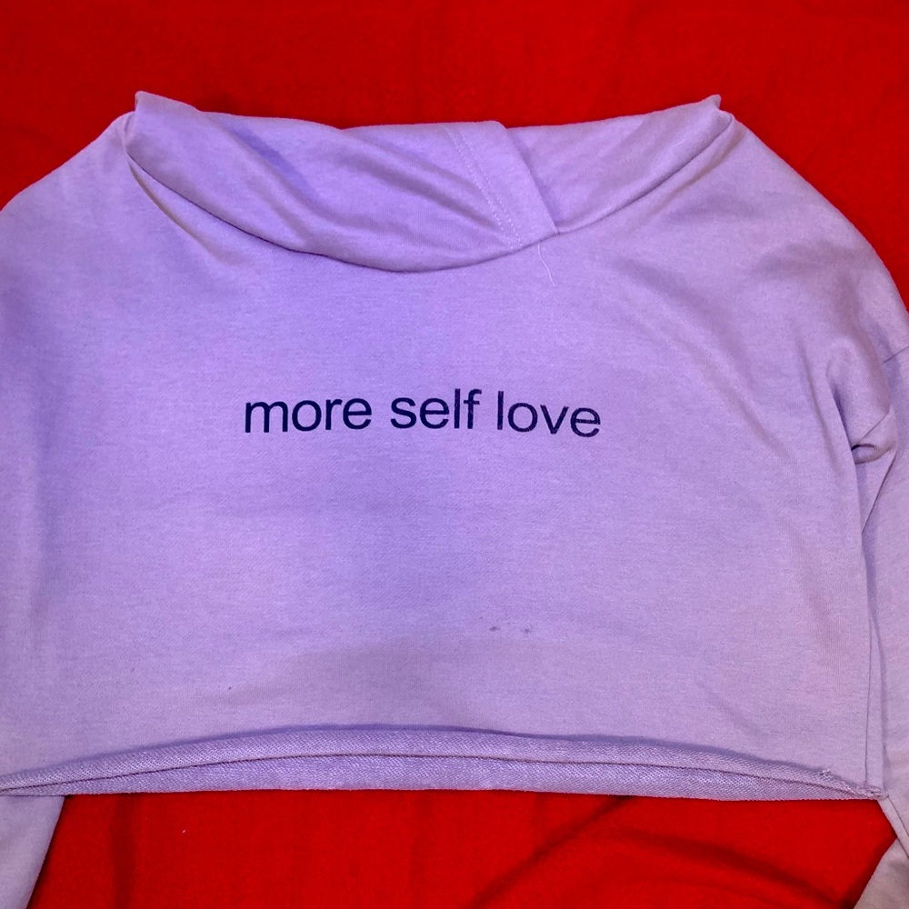Rue 21 Crop Top Hoodie